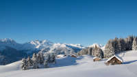 Eine Schneelandschaft mit Bergen, Wald und Häusern aus Holz